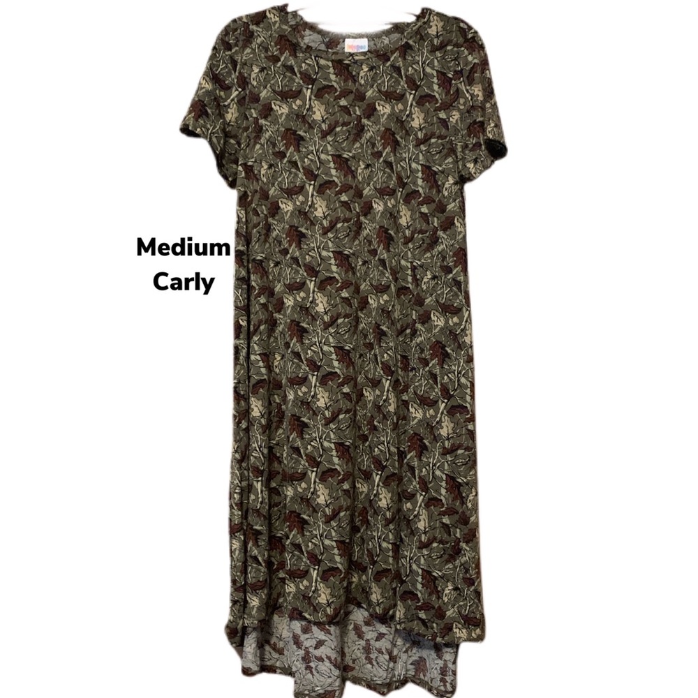 Boutique LuLaRoe Carly Dress